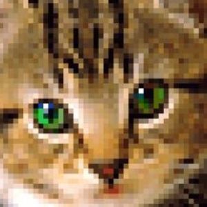 Meet your Posher, Sandra